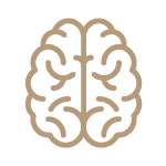 A brain icon for Endorphin Production